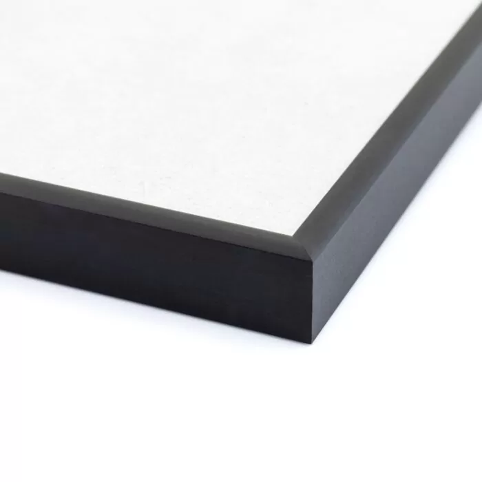 Plakat z patentem - AKORDEON - obrazek 3